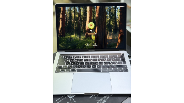 Заміна батареї та термопасти MacBook Pro A1989 (13")