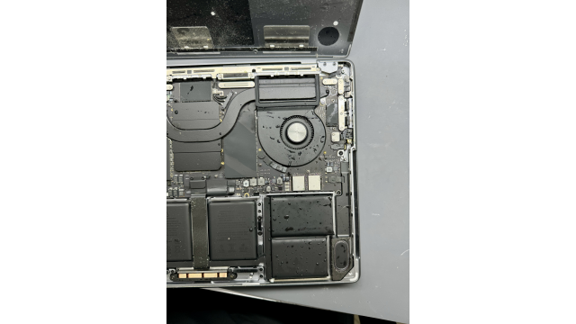 MacBook M1 Max | Залиття Аміцитроном