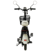 Електроскутер Maxxter E500 Beige