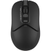 Миша бездротова A4Tech FB12 Black USB