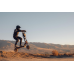 Електросамокат Kaabo Wolf Warrior 11 Plus