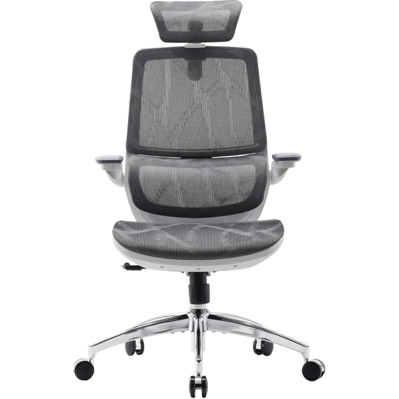 Крісло офісне Sihoo M59AS Mesh Gray (M59AS-M301)