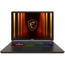 Ноутбук MSI Vector 17 HX AI A2XWIG-043UA (9S7-17S372-043) Meta Ready