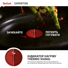 Сковорода Tefal Expertise 25 см (G3213832)