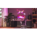 Додаткові панелі Nanoleaf Shapes Mini Triangles Apple HomeKit, 10 шт. (NL48-1001TW-10PK)