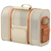Рюкзак-переноска для тварин Mova Pet Backpack PB10 Pro (PPK10A)