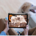 Чохол-книжка BeCover Soft Edge TPU з кріпленням Apple Pencil для Apple iPad Air 11