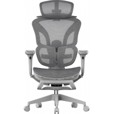 Крісло офісне OfficePro Elite OC950G Gray