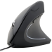 Мишка Gembird MUS-ERGO-01 Black USB