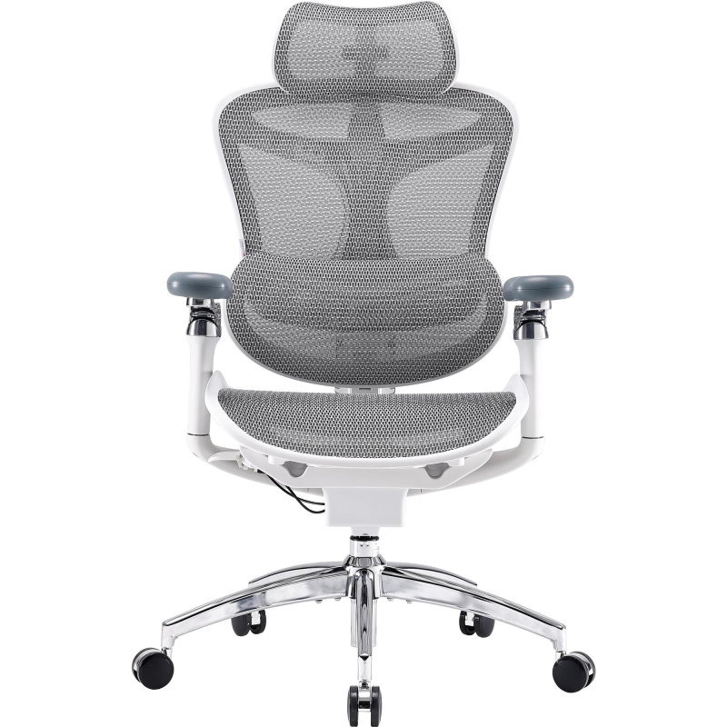 Крісло офісне Sihoo Doro C300 Pro Mesh White (DORO-C300-PRO-M102)
