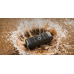 Акустична система Anker SoundCore Boom 3i Black (D5100010)