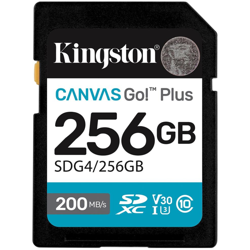 Карта пам`ятi SDXC  256GB UHS-I/U3 Class 10 Kingston Canvas Go! Plus R200/W160MB/s (SDG4/256GB)