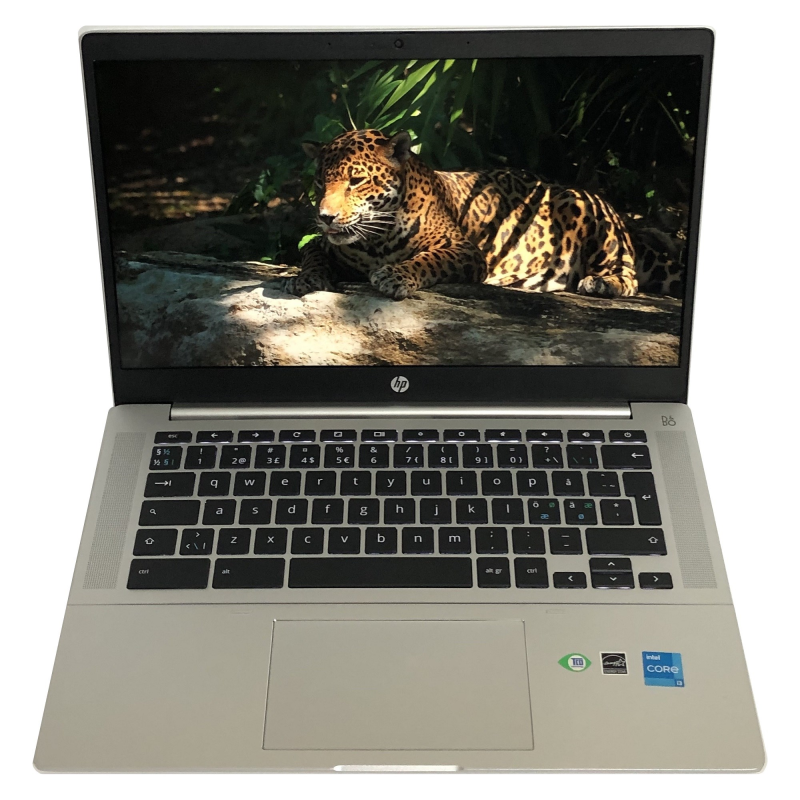 Ноутбук HP Pro c640 G2 Chromebook / 14