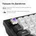 Клавіатура бездротова Keychron Q6 HE Magnetic Switch Black RGB (Q6H-M1-UA)