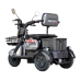 Електроскутер Maxxter Ant Li Gray